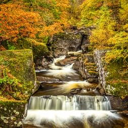 Bracklinn Falls fließt über Felsen durch eine Schlucht, umgeben von Bäumen in leuchtenden Herbstfarben Orange, Gelb und Grün.