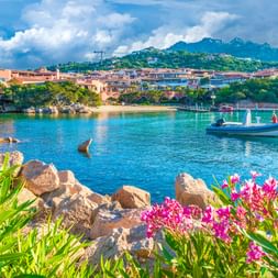 Hafen von Porto Cervo mit türkisfarbenem Wasser, Booten und rosa Blumen im Vordergrund. Bunte Gebäude und grüne Hügel unter blauem Himmel.