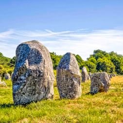 Ancient standing stones arranged in rows at Menec in Brittany. Large weathered menhirs stand in a grassy field with trees and blue sky.