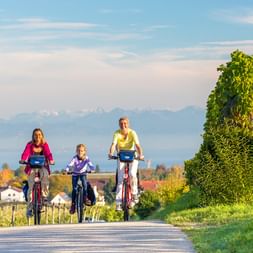 Three cyclists riding on a paved path near Lake Constance. A stone monument and vineyard are visible, with mountains in the background.