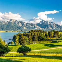 Grüne Wiesen und Wälder führen zum Forggensee mit dramatischen Alpengipfeln im Hintergrund unter blauem Himmel mit weißen Wolken.