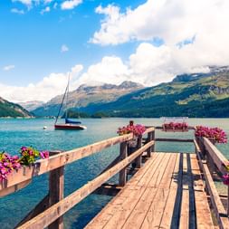 Holzsteg mit rosa Blumen am Silsersee bei Maloja. Ein Segelboot schwimmt auf türkisfarbenem Wasser mit bewaldeten Bergen im Hintergrund.