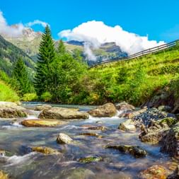 Felsiger Gebirgsbach fließt durch grünes Tal bei Matrei in Osttirol, mit bewaldeten Hängen und Alpengipfeln unter blauem Himmel.
