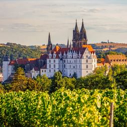 Albrechtsburg und Meißner Dom erheben sich über Weinbergen und historischen Stadtgebäuden unter einem sanften Abendhimmel.
