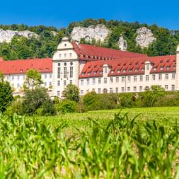 Kloster Beuron mit roten Dächern und weißem Turm vor Kalksteinfelsen, gesehen über eine grüne Wiese unter blauem Himmel.