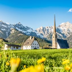 Kirche mit hohem Turm in Maria Alm umgeben von grünen Wiesen mit gelben Blumen und schneebedeckten Alpengipfeln im Hintergrund.