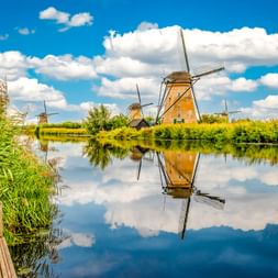 Reihe historischer Windmühlen in Kinderdijk, die sich in einem ruhigen Kanal spiegeln, mit Schilf im Vordergrund und blauem Himmel mit weißen Wolken.