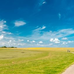 Zwei Radfahrer auf einem geschwungenen Weg durch flache grüne Wiesen unter blauem Himmel mit weißen Wolken am Nordseeküsten-Radweg beim Eider Sperrwerk.