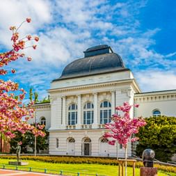 Weißes neoklassizistisches Landestheater Rendsburg mit Kuppelturm, eingerahmt von rosa Kirschblüten. Grüne Rasenfläche und blauer Himmel sichtbar.