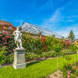 Weiße Statue auf Sockel im Rosengarten mit Glasgewächshaus im Hintergrund auf der Insel Mainau, Bodensee. Bunte Rosen und grüner Rasen unter blauem Himmel.