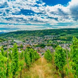 Reihen grüner Weinreben in einem Weinberg mit Blick auf die Stadt Oberbillig-Wasserbillig mit sanften Hügeln und dramatischen Wolken darüber.