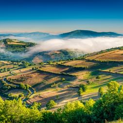 Panoramablick auf terrassierte Felder in Pontevedra mit Morgennebel zwischen sanften Hügeln unter blauem Himmel.