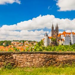 Meißner Dom und Albrechtsburg auf einem Hügel über der Stadt. Steinmauer im Vordergrund mit Weinberg, rot gedeckte Häuser darunter.