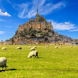 Mont Saint-Michel abbey on rocky island with medieval buildings. Sheep graze in green meadow in foreground under blue sky with white clouds.