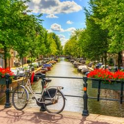 Fahrrad auf Brückengeländer mit Blick auf Amsterdamer Gracht mit Bäumen, Booten und historischen Häusern. Rote Blumen schmücken die Brücke.