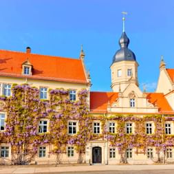 Riesaer Rathaus mit cremefarbener Fassade, bewachsen mit Glyzinien, orangefarbenen Ziegeldächern und zentralem Turm mit Zwiebelhaube.