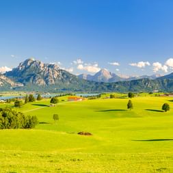 Panoramablick auf sanfte grüne Wiesen mit vereinzelten Bäumen und einem See, vor der dramatischen Kulisse der bayerischen Alpen bei Füssen.