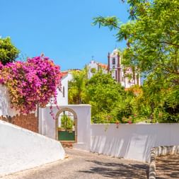 Weiß getünchte Straße in Silves Altstadt mit leuchtend rosa Bougainvillea, grünen Bäumen und einem Kirchturm unter blauem Himmel.