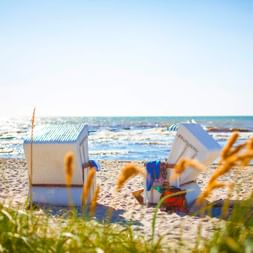 Weiße Strandkörbe am Sandstrand in Bansin, Usedom. Ostseewellen im Hintergrund, Strandgras im Vordergrund.