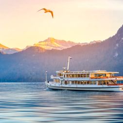 Weißes Passagierschiff mit Schweizer Flagge auf dem Genfer See bei Sonnenaufgang, mit schneebedeckten Alpen und einem Vogel im goldenen Licht.