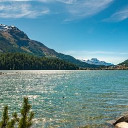Lake St. Moritz with clear blue water, surrounded by forested mountains and snow-capped peaks. Buildings visible on the far shore under a bright sky.