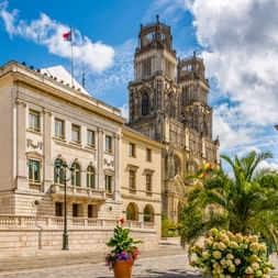 Gothic towers of Cathédrale Sainte-Croix rising behind a cream-colored building with palm trees and flowers in the square in Orléans.