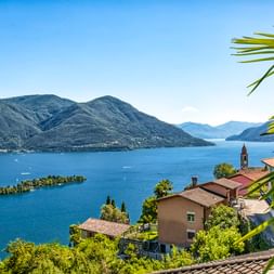 Blick auf den Lago Maggiore von Ascona mit Häusern, Kirchturm, kleiner Insel und Bergen unter blauem Himmel mit Palmwedeln im Vordergrund.