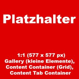 Rotes Quadrat mit weißem Text 'Platzhalter' und technischen Spezifikationen für ein 1:1 Galerie-Grid-Platzhalterbild.