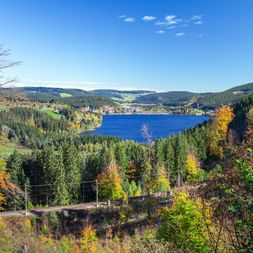 Panoramablick auf den Titisee im Schwarzwald, umgeben von dichten Wäldern mit Herbstfarben und sanften Hügeln unter blauem Himmel.