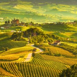 Luftaufnahme von Schloss Grinzane Cavour auf einem Hügel, umgeben von sanften Weinbergen im Piemont, in goldenes Sonnenlicht getaucht.