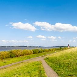 Asphaltierter Radweg auf dem Elbdeich mit Flussblick, Schilf, Segelbooten und rot-weißem Leuchtturm unter blauem Himmel mit weißen Wolken.