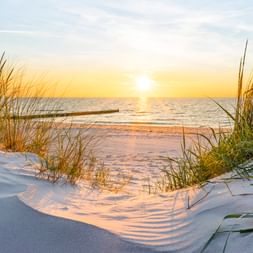 Sanddünen mit Strandgras bei Sonnenuntergang auf Usedom. Goldenes Licht beleuchtet die Ostsee mit einer Holzbrücke am Horizont.