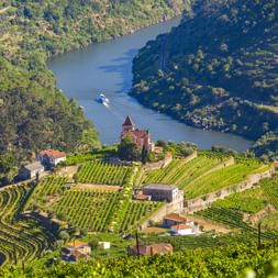 Luftaufnahme terrassierter Weinberge entlang des Douro-Flusses in Portugal. Eine Kirche liegt zwischen grünen Weinreihen mit Boot auf dem Fluss.