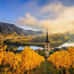 Goldene Weinbergreihen im Herbst mit Blick auf ein Dorf mit Kirchturm, Fluss und Bergen. Gelbe Weinblätter rahmen die malerische Talansicht.