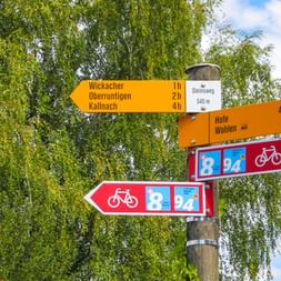 Wegweiser mit orangen Wanderschildern und roten Radroute 8 Markierungen vor grünen Birken und blauem Himmel.