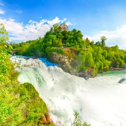Rheinfall bei Schaffhausen mit kraftvoll herabstürzendem Wasser, üppiger grüner Vegetation und historischem Schloss auf dem Hügel.