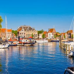 Old harbor of Enkhuizen with sailboats and historic Dutch buildings with orange roofs under blue sky. Willow tree visible on the left.
