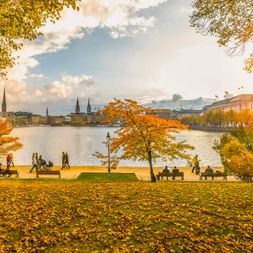 Herbstansicht der Hamburger Binnenalster mit goldenem Laub, Menschen auf Bänken und Hamburgs historischer Skyline im Hintergrund.
