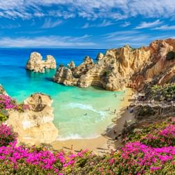 Praia do Camilo Strand in Lagos mit goldenen Klippen, türkisfarbenem Wasser, Felsformationen und rosa blühenden Pflanzen im Vordergrund.