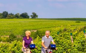 Zwei Radfahrer mit roten Rädern fahren durch goldenes Weizenfeld mit grünen Weinbergen in Baden-Württemberg unter blauem Himmel.