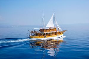 MS Planka, ein hölzernes Segelschiff mit weißen Segeln und zwei Masten, fährt auf ruhigem blauen Wasser mit fernen Bergen am Horizont.