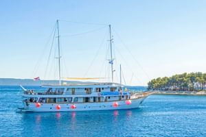Weißes Passagierschiff Amore mit zwei Masten und roten Fendern in ruhigem blauen Wasser. Bewaldete Küste im Hintergrund unter klarem Himmel.