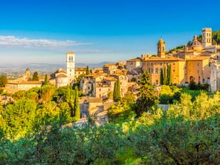 Panoramablick auf Assisi, eine mittelalterliche Hügelstadt in Umbrien, mit Steingebäuden, Glockentürmen und Zypressen umgeben von Olivenhainen.