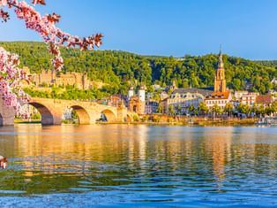 Blick auf Heidelberg mit Schlossruine am Hang, Alter Brücke über dem Neckar und historischer Altstadt mit Kirchturm, eingerahmt von rosa Blüten.