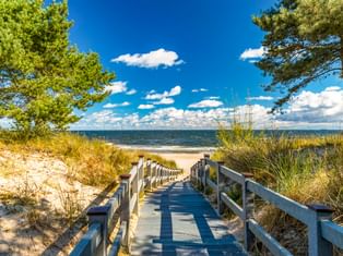 Holzsteg mit Geländer führt durch Sanddünen zum Ostseestrand auf Usedom. Kiefern rahmen den Weg unter blauem Himmel mit Wolken.