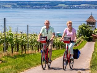 Zwei Radfahrer auf roten Rädern fahren durch Weinberge mit Blick auf den Bodensee und hügelige Landschaft im Hintergrund.