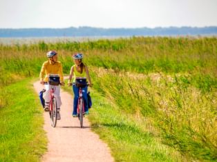 Zwei Radfahrer mit Helmen auf roten Fahrrädern auf einem Schotterweg durch grüne Felder bei Ahrenshoop, mit Schilffeldern auf beiden Seiten.