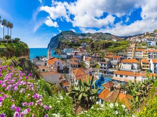 Bunte Häuser mit Terrakottadächern im Dorf Camara de Lobos an Madeiras Küste, umgeben von üppiger Vegetation und Bergen unter blauem Himmel.