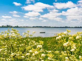 Weiße Wildblumen im Vordergrund mit ruhigem Wasser und kleinem Boot im Hintergrund unter blauem Himmel mit weißen Wolken auf Fünen, Dänemark.