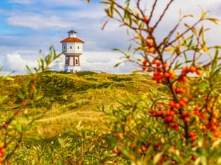 Historischer Wasserturm auf Langeoog auf einer grasbewachsenen Düne, eingerahmt von Sanddornzweigen mit orangen Beeren unter blauem Himmel mit Wolken.